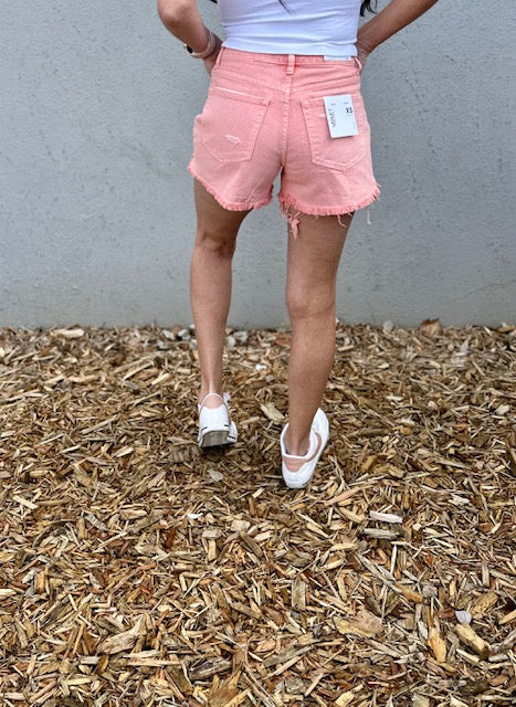 Daisy High Rise Side Slit Frayed Shorts