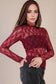 High Neck Sheer Lace Long Sleeve Top