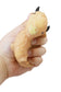 Snuggle Squeeze Capybara Squishy Toy