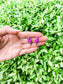 Western lightning bolt stud earrings with silver-tone detailing in pink, white and assorted colors displayed on boutique jewelry cards