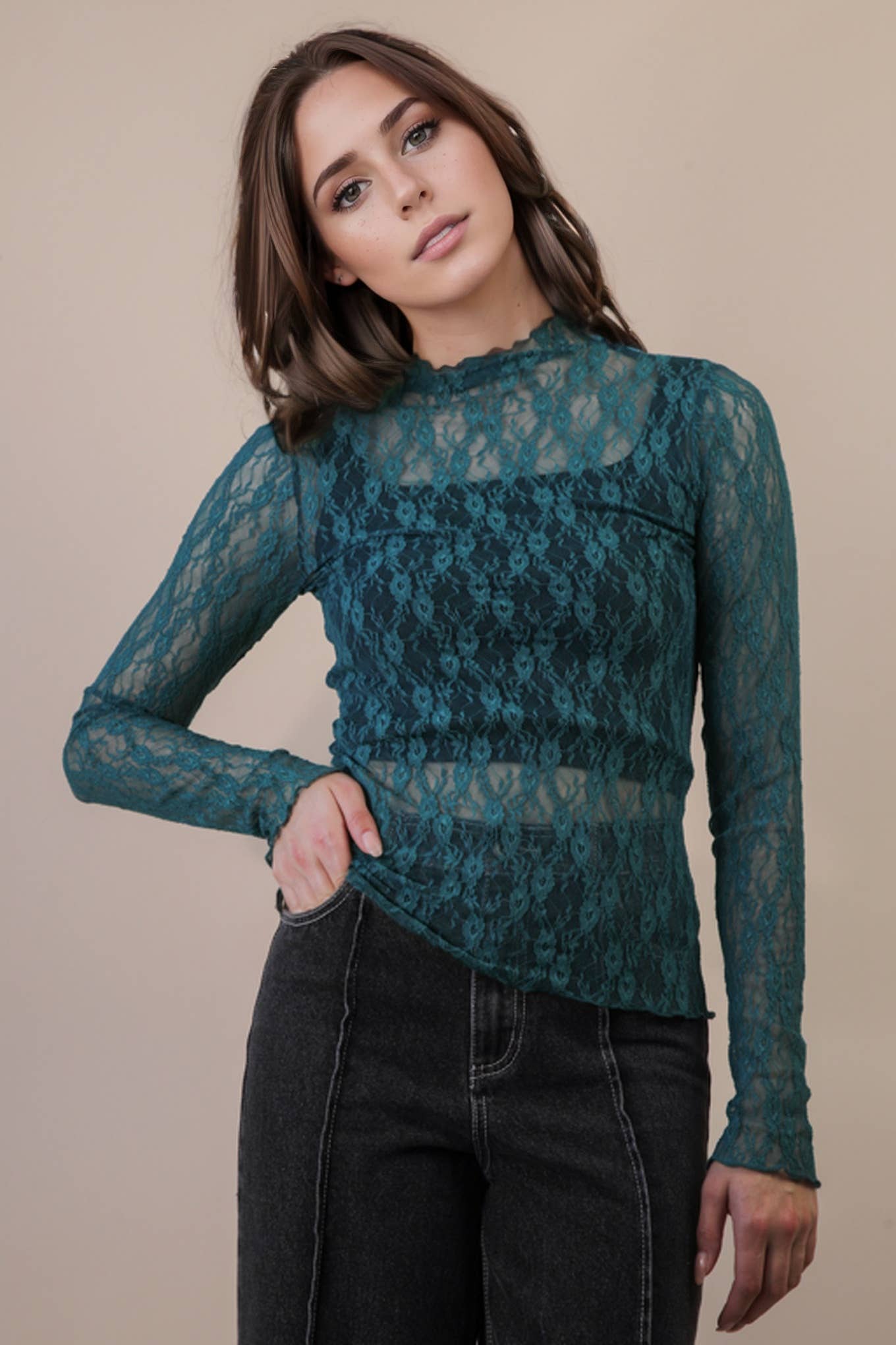 High Neck Sheer Lace Long Sleeve Top
