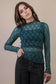 High Neck Sheer Lace Long Sleeve Top